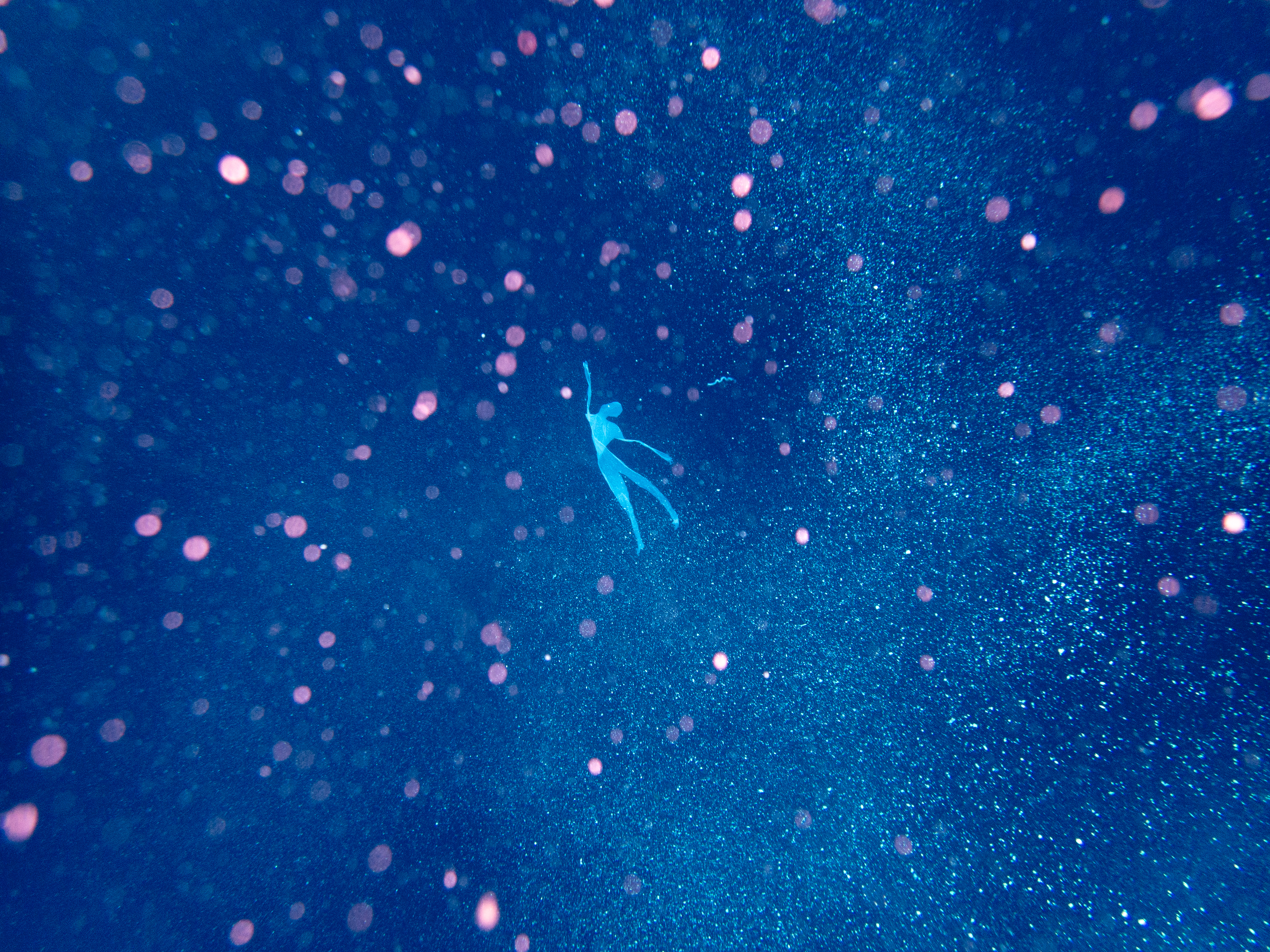 05_キュンチョメ《Ghost in the Ocean》2025年 映像